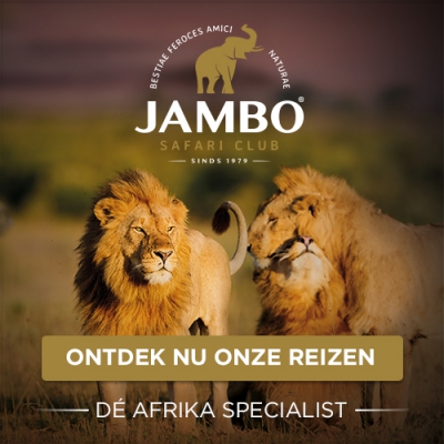 Jambo Safari Club