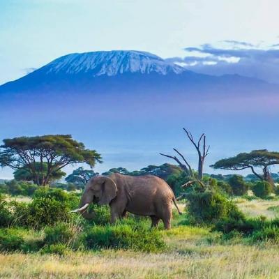 Kijeda tours &amp; safaris